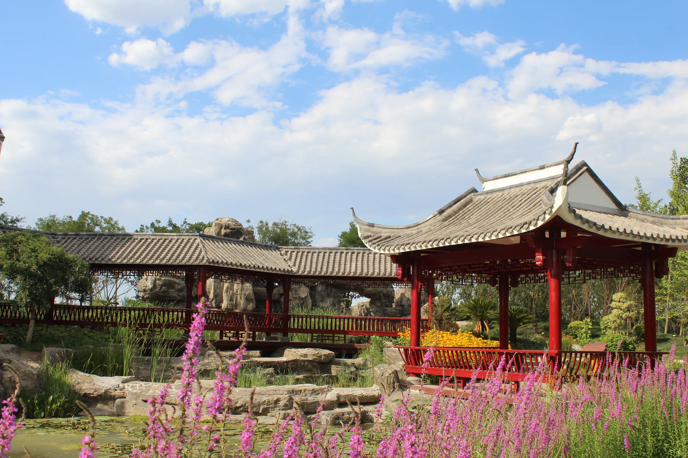 福建园实景照片