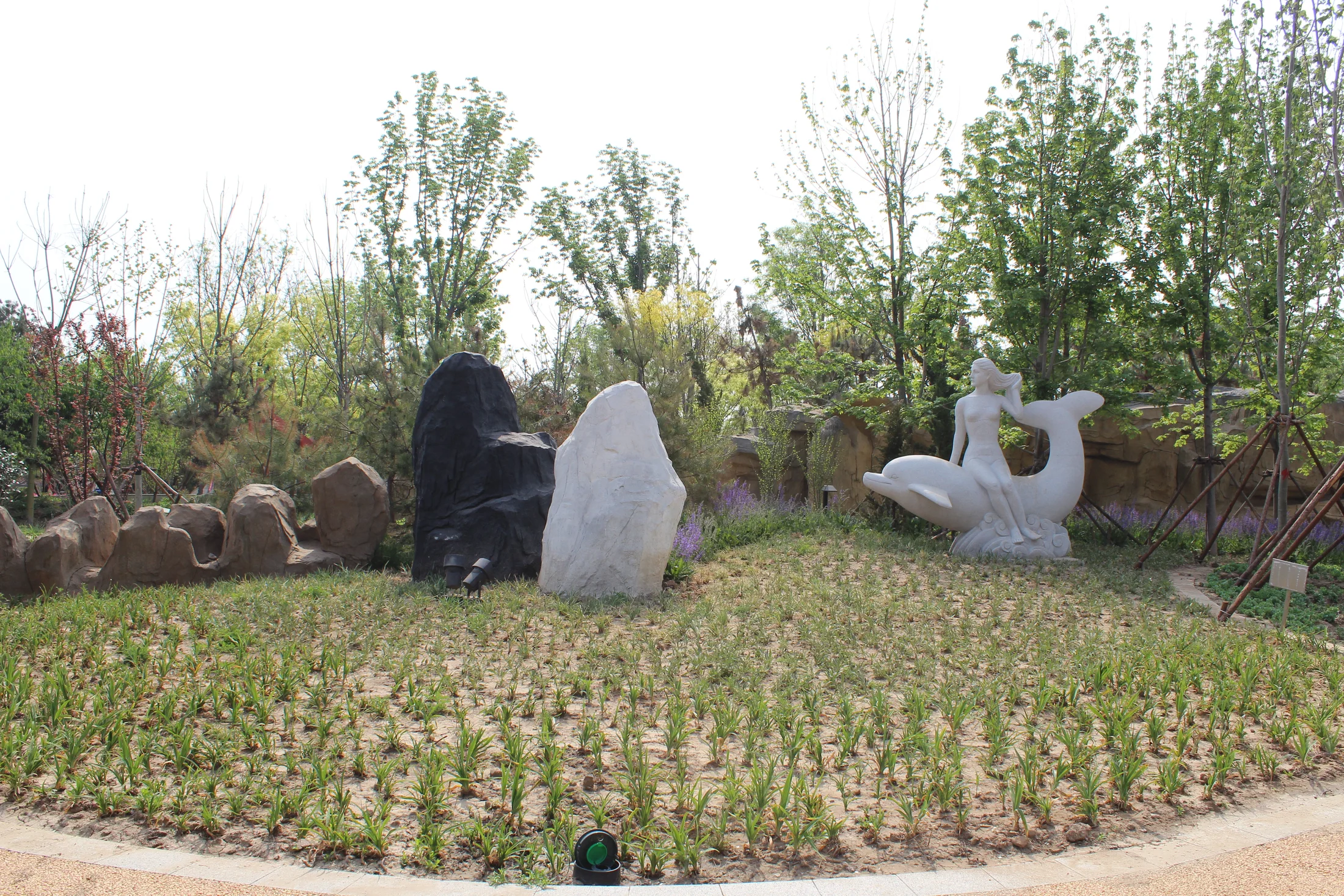 大连园实景照片