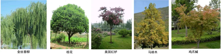 image2.png