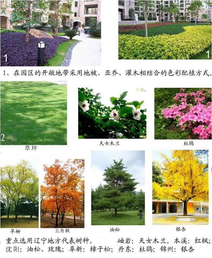 image4.jpeg