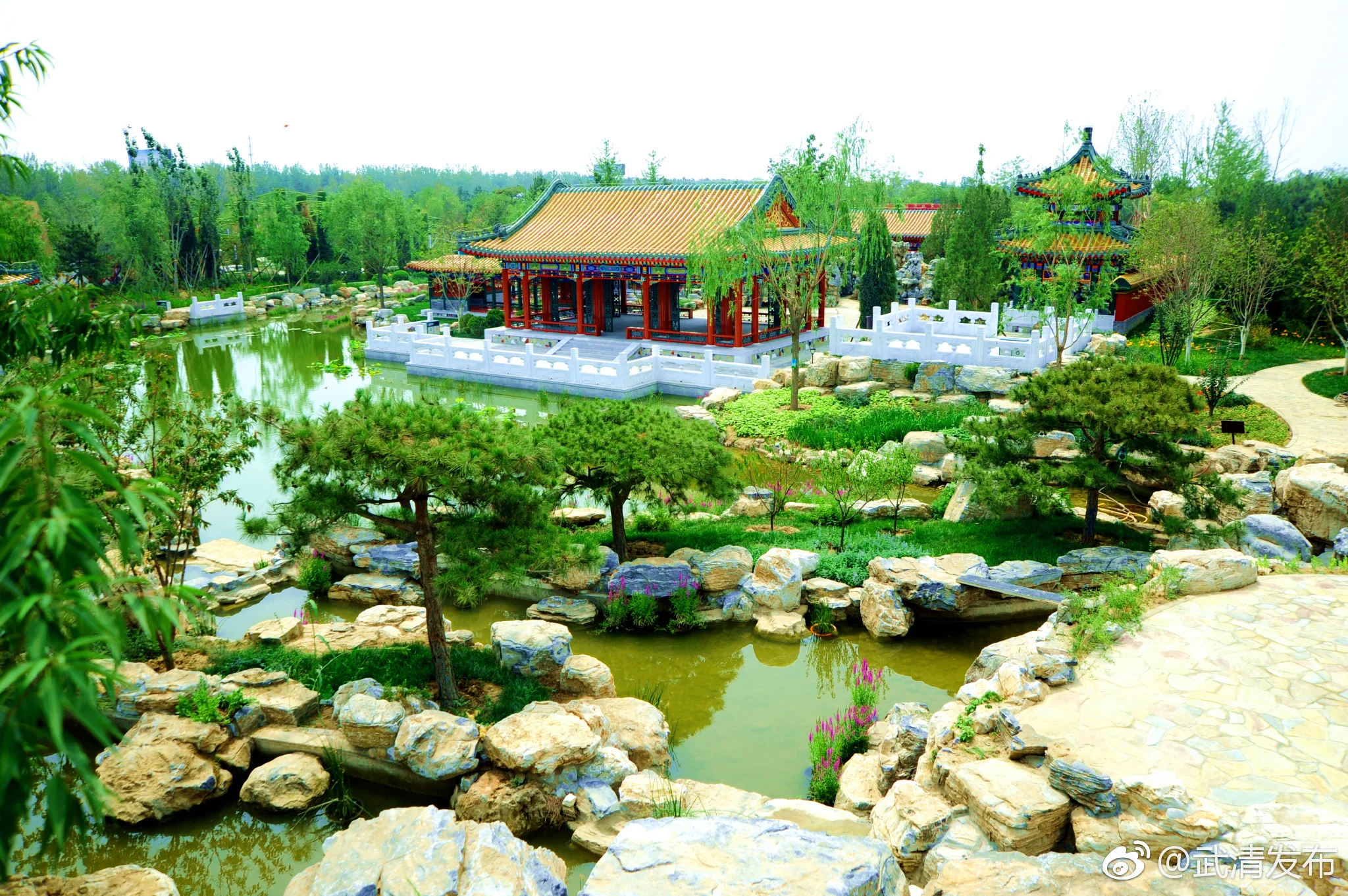 北京园实景照片