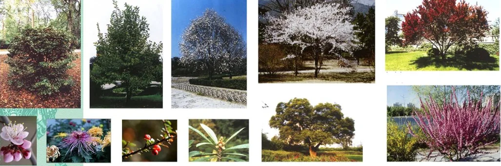 image3.png