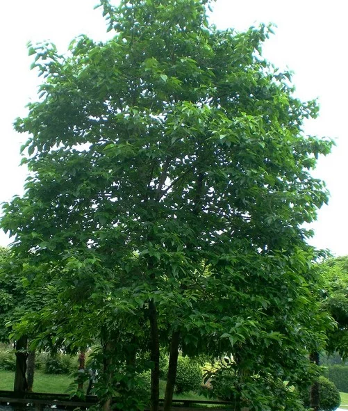 image6.jpeg