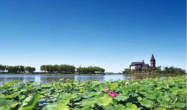 湖畔慢生活：木栈道、草坪与湿地观赏攻略