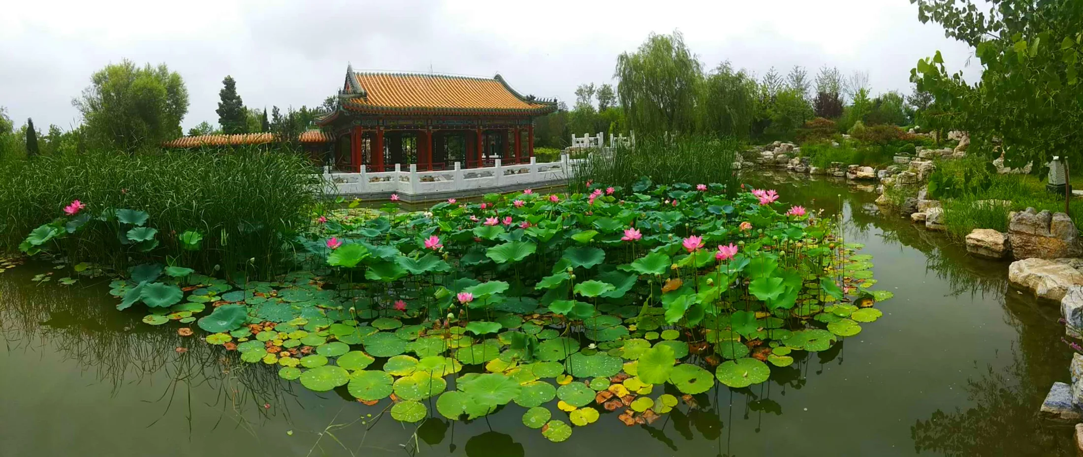 北京园实景照片